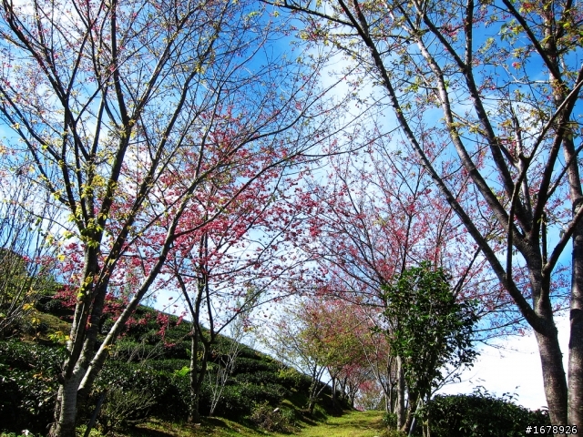 騎車~南部山區放空一日遊