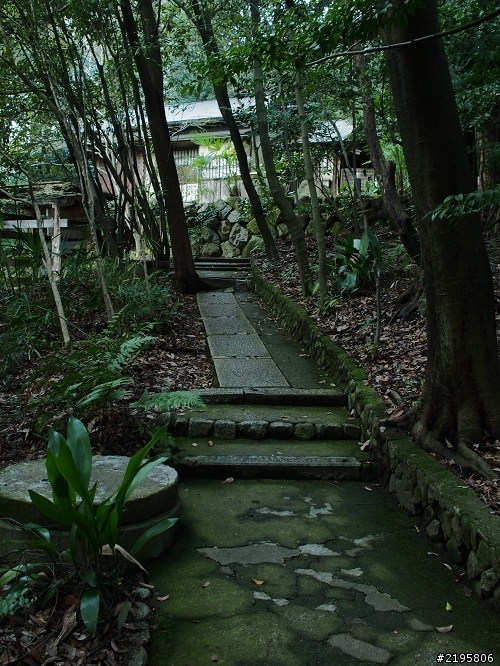 京の冬の旅(E-M5  M.ZD 17mm F1.8 + M.ZD ED 75mm F1.8)