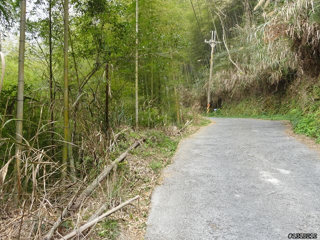 親子旅遊-竹山鹿谷體驗行