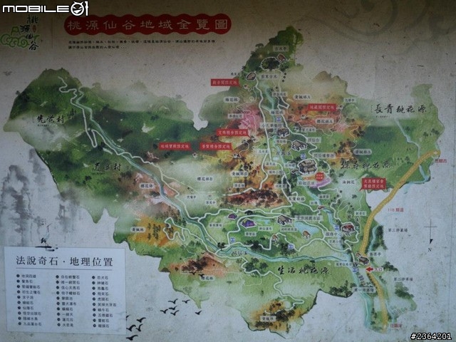 鬱見好心情~2013/1/28桃源仙谷鬱金香花況