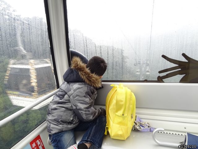 親子旅遊-新春台北自由行(2)-貓空杏花材