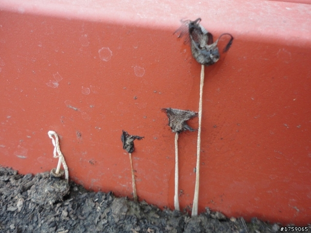 請問~我的菜槽內側是什麼東西??