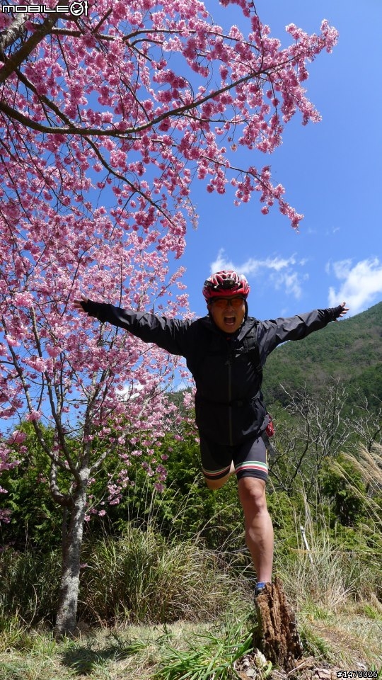 瘋狂舉指! 狂樂遊 NO3  武陵農場拜訪春天