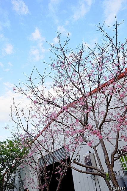 XE-1 + XF14/2.8