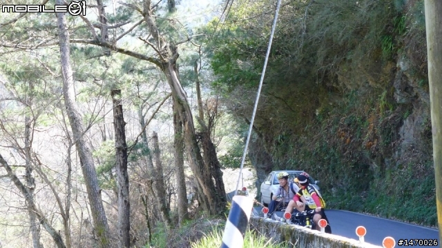 瘋狂舉指! 狂樂遊 NO3  武陵農場拜訪春天
