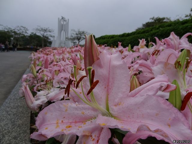 親子旅遊-新春台北自由行(4)-育樂花博松機行