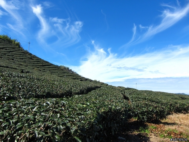 騎車~南部山區放空一日遊