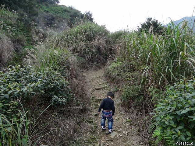 親子旅遊-新春台北自由行(5)-櫻花百拉卡