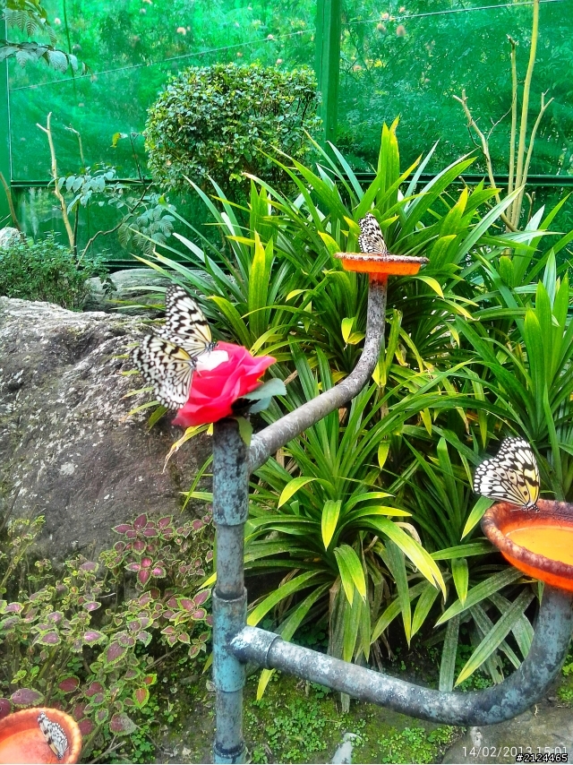 THL W7 用360相機拍風景照超美的~~~