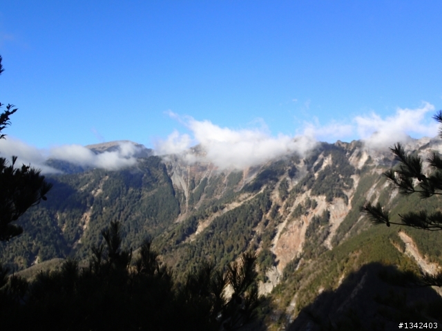 春節三叉山,向陽山,嘉明湖( 簡單分享還是很多圖)