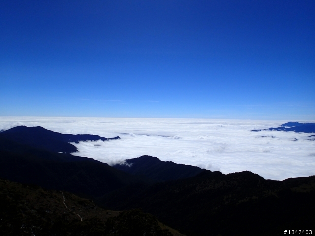 春節三叉山,向陽山,嘉明湖( 簡單分享還是很多圖)