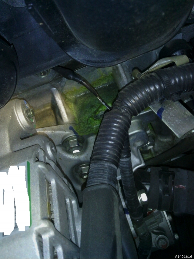 BLUEBIRD的水箱墊片