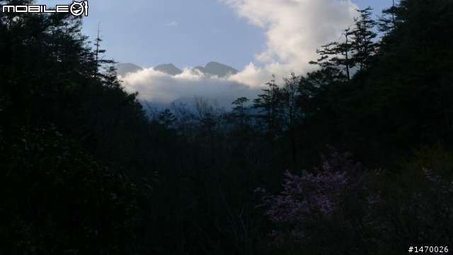 瘋狂舉指! 狂樂遊 NO3  武陵農場拜訪春天