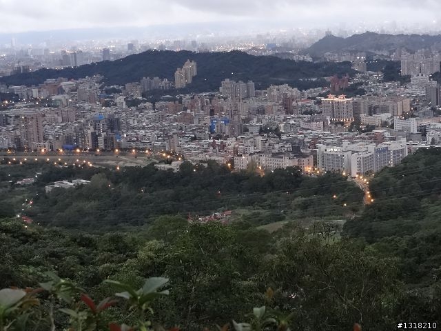 親子旅遊-新春台北自由行(2)-貓空杏花材