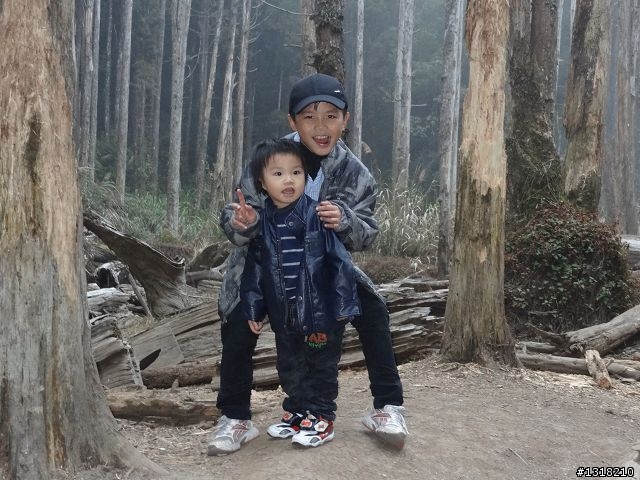 親子旅遊-竹山鹿谷體驗行