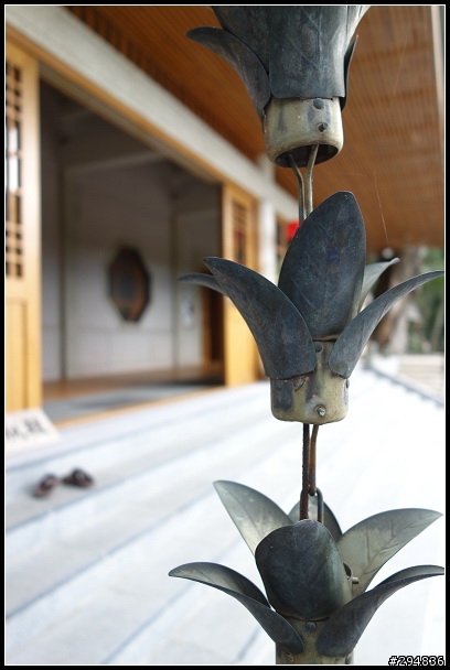 2013.02.03【單車遊記】《櫻》網打盡