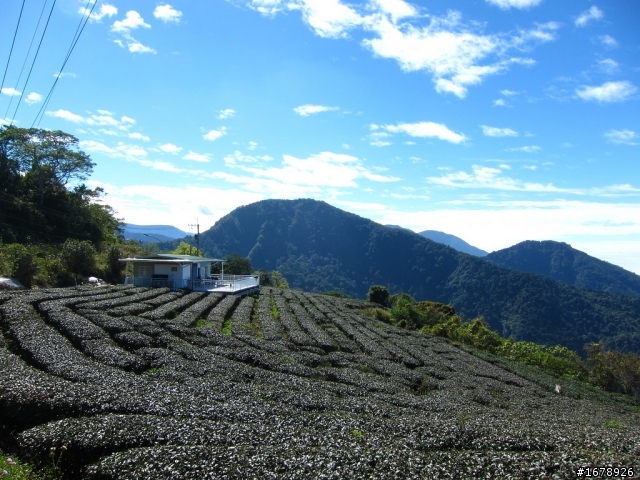 騎車~南部山區放空一日遊