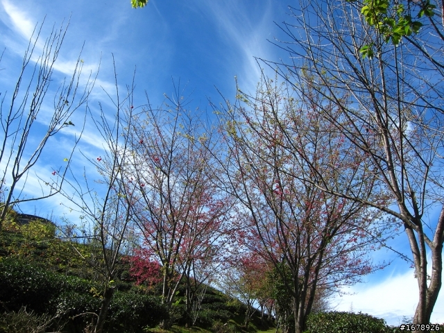 騎車~南部山區放空一日遊