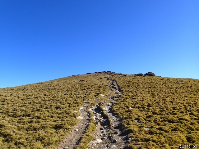 春節三叉山,向陽山,嘉明湖( 簡單分享還是很多圖)