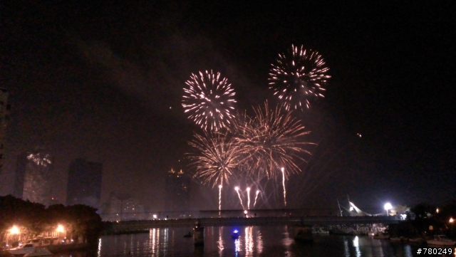 蝴蝶 拍攝2013高雄燈會煙火