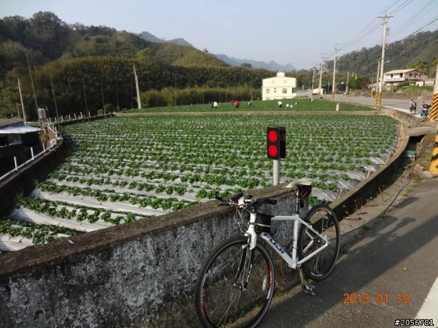 苗栗仙山南庄一日遊