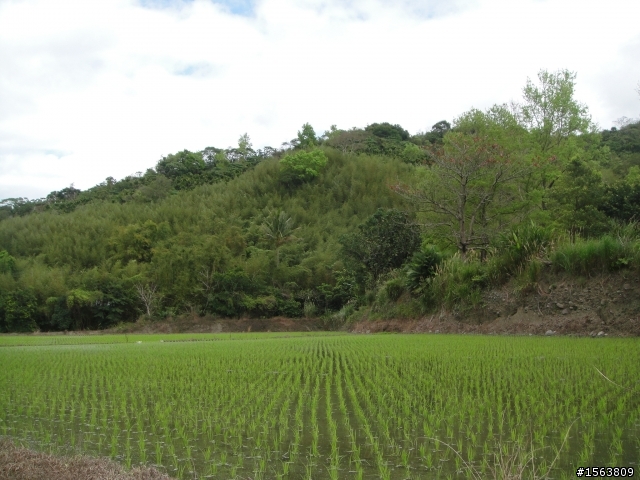 [路線分享] 193-瑞港公路-海岸公路-玉長公路  環狀路線