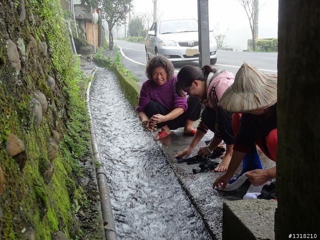 親子旅遊-新春台北自由行(5)-櫻花百拉卡
