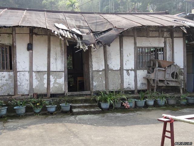 親子旅遊-竹山鹿谷體驗行