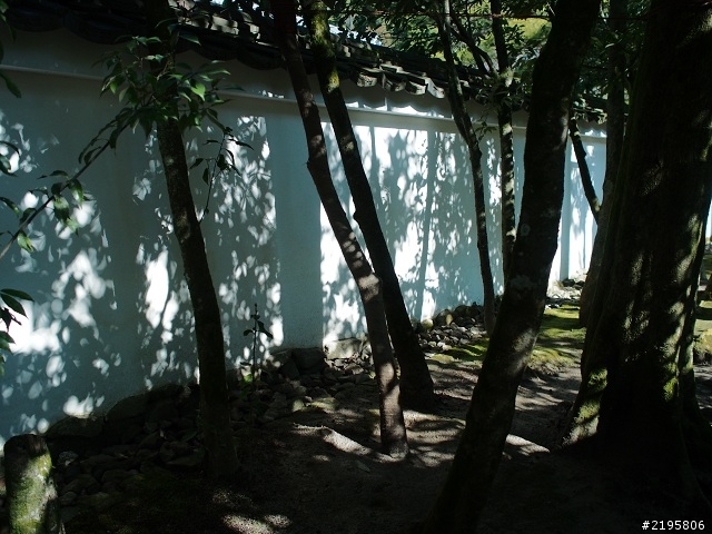 京の冬の旅(E-M5  M.ZD 17mm F1.8 + M.ZD ED 75mm F1.8)