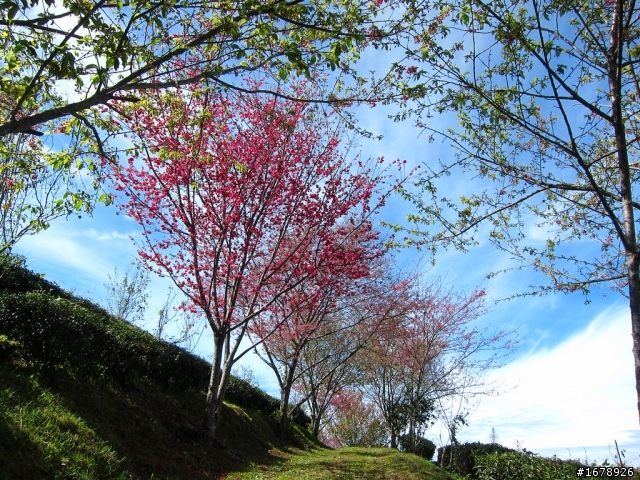 騎車~南部山區放空一日遊