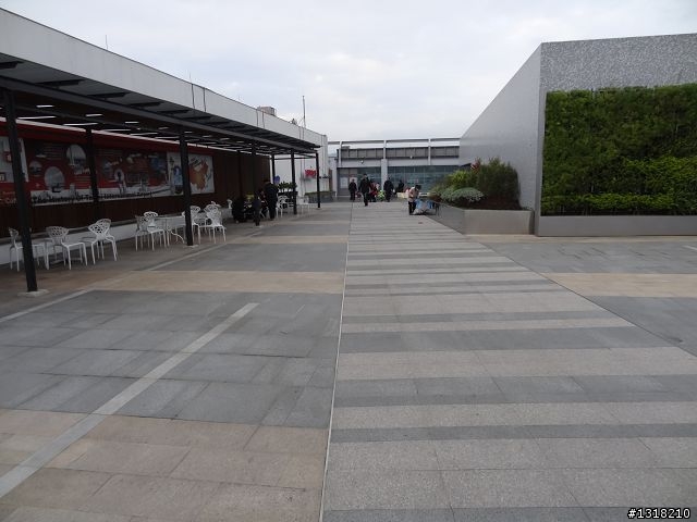 親子旅遊-新春台北自由行(4)-育樂花博松機行