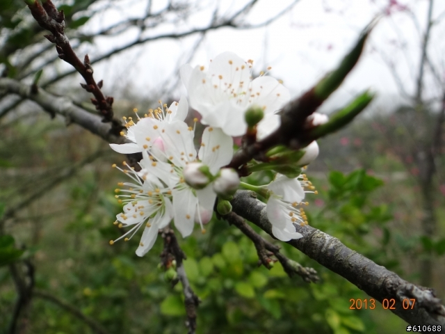 2.7春暖花開