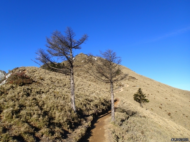 春節三叉山,向陽山,嘉明湖( 簡單分享還是很多圖)