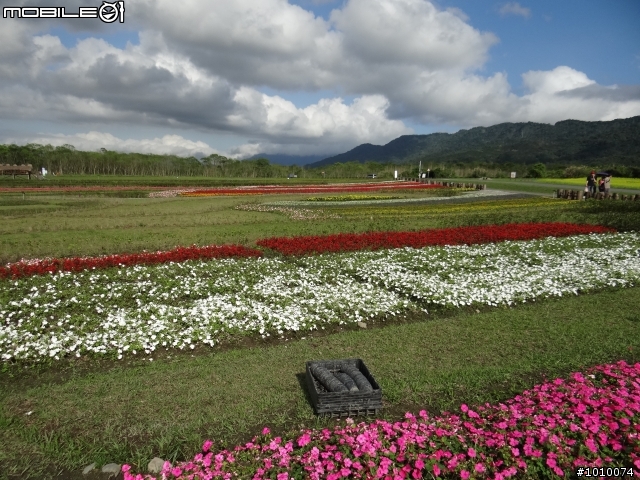推薦 花蓮光復鄉「大農大富平地森林園區」