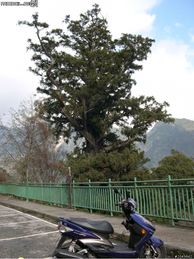 衝武嶺去花蓮玩順便參加物理年會2013/1/29~31