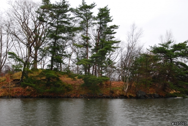 [冬の北海道自助行]-(函館)五稜郭-大沼小沼國定公園