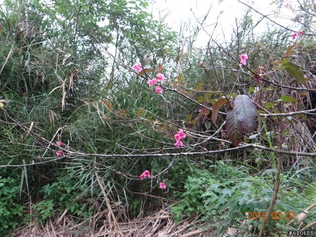 2.7春暖花開