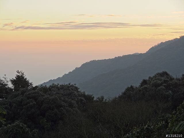 親子旅遊-新春台北自由行(5)-櫻花百拉卡