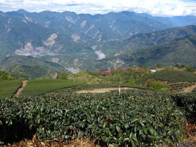 騎車~南部山區放空一日遊