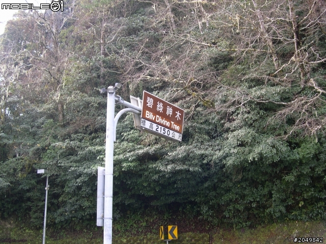 衝武嶺去花蓮玩順便參加物理年會2013/1/29~31