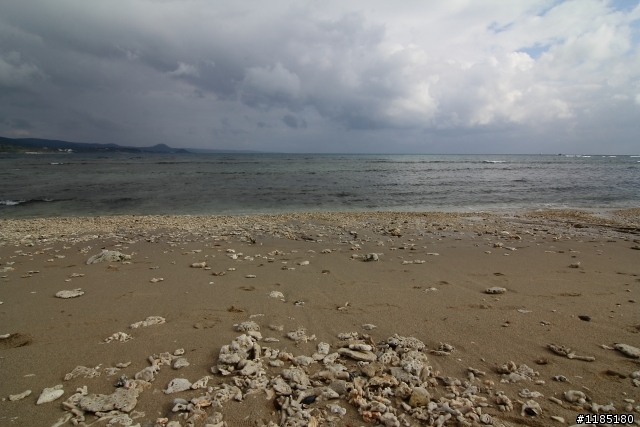 八天七夜四極點環島 圖非常多(新增SHAD 40開箱文)