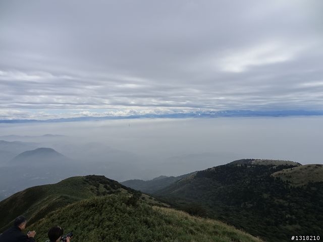 親子旅遊-新春台北自由行(5)-櫻花百拉卡