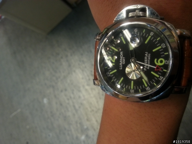 幫忙鑑定這隻小沛