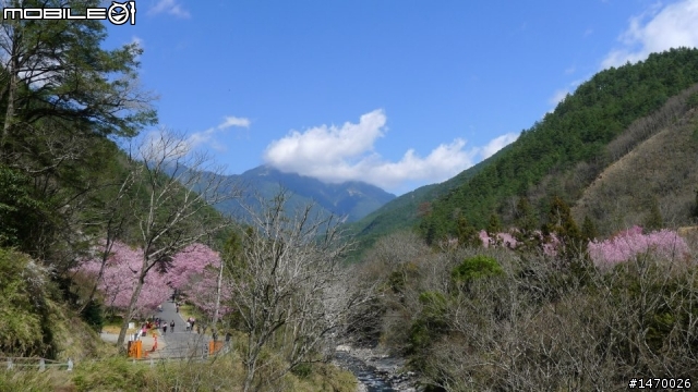 瘋狂舉指! 狂樂遊 NO3  武陵農場拜訪春天