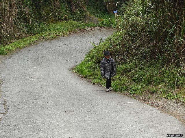 親子旅遊-竹山鹿谷體驗行