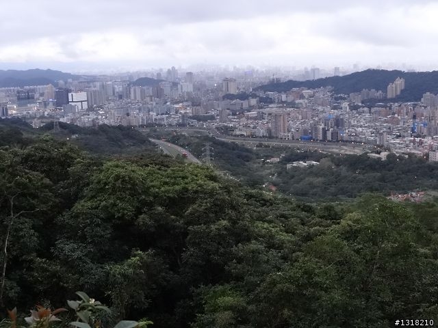 親子旅遊-新春台北自由行(2)-貓空杏花材