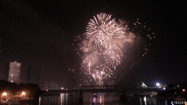 蝴蝶 拍攝2013高雄燈會煙火