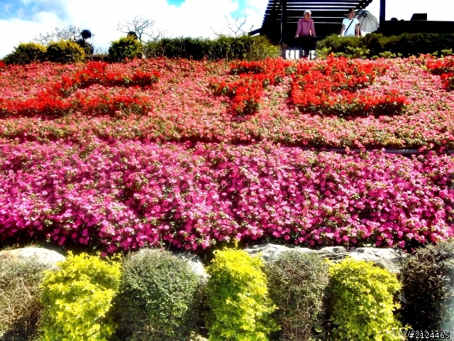 THL W7 用360相機拍風景照超美的~~~