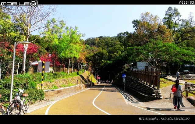 黑蝴蝶春節旅遊試拍(有圖)