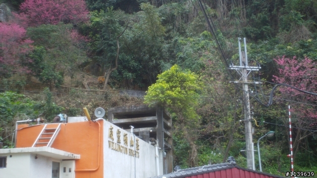 看sakura不必去YMS-2